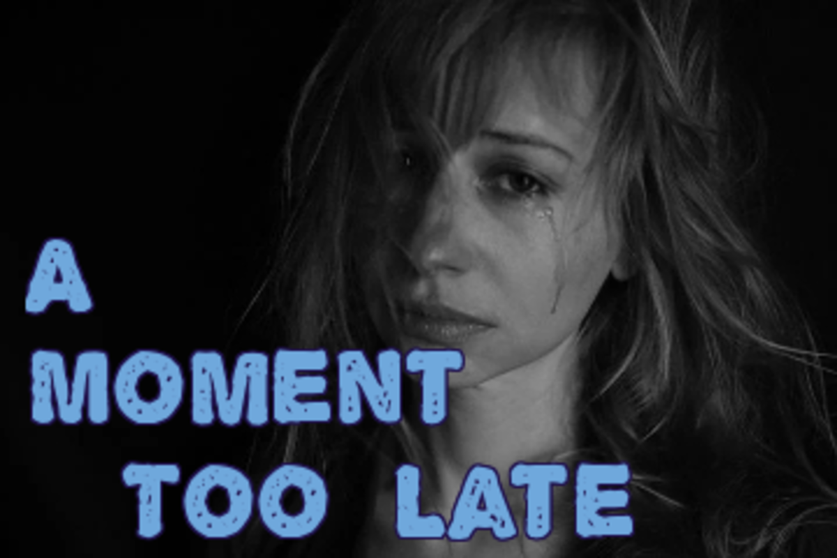 poem-a-moment-too-late