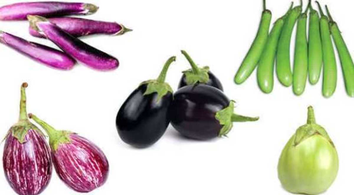 8-ways-to-cook-brinjal-in-andhra-style