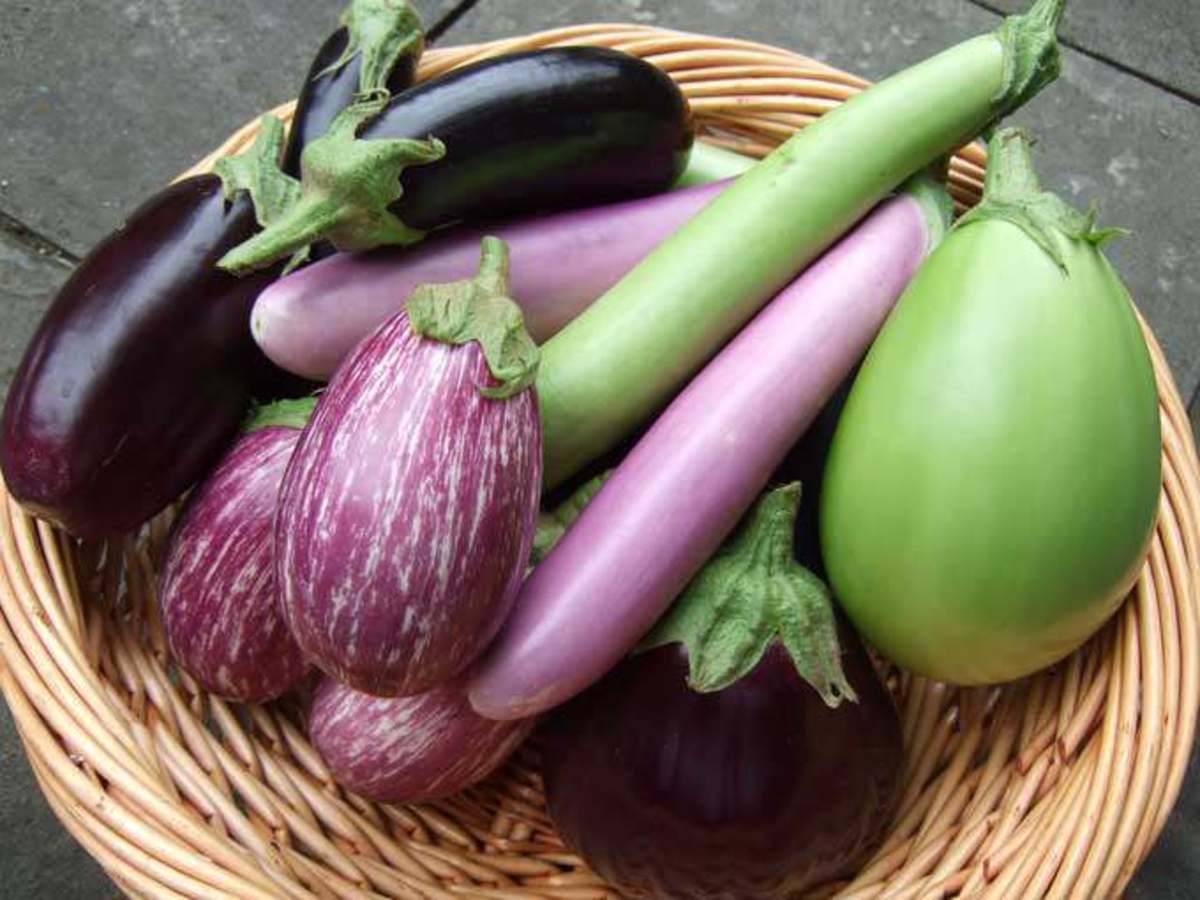 8 Ways to Cook Brinjal in Andhra Style