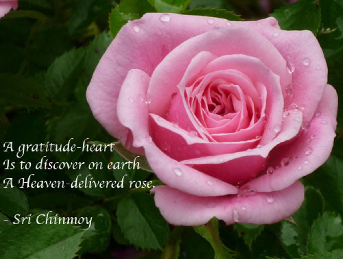 More Poetry and Aphorisms of Sri Chinmoy. Saturday's Inspiration 33