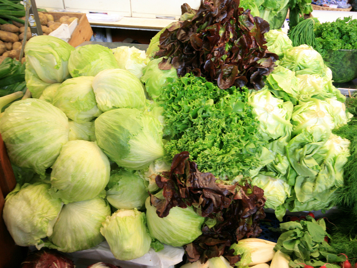 different types of lettuce