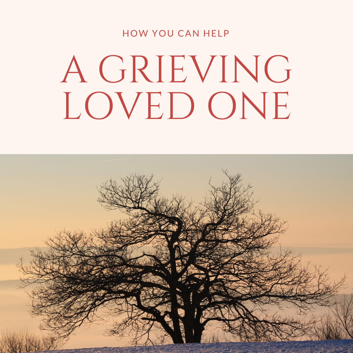 How to Help a Grieving Friend or Family Member