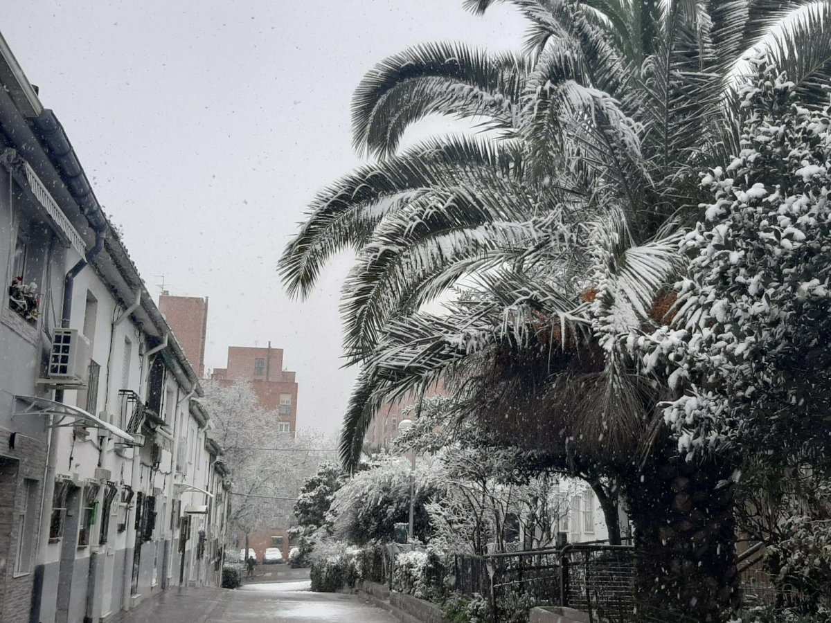 A Historic Winter in Madrid!