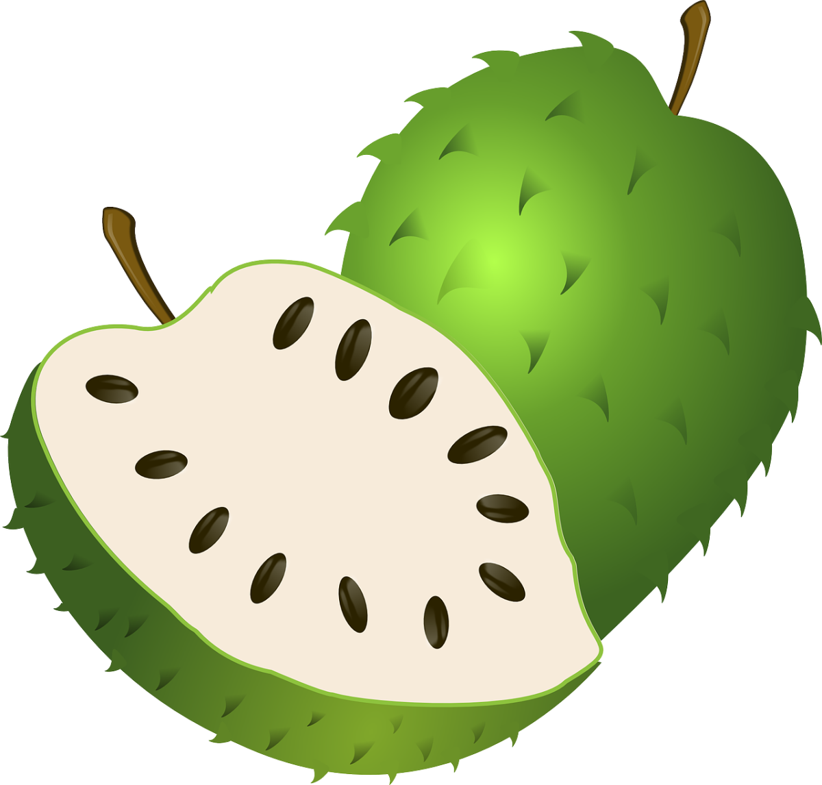 15 Health Benefits Of Guyabano Soursop Leaves Hubpages