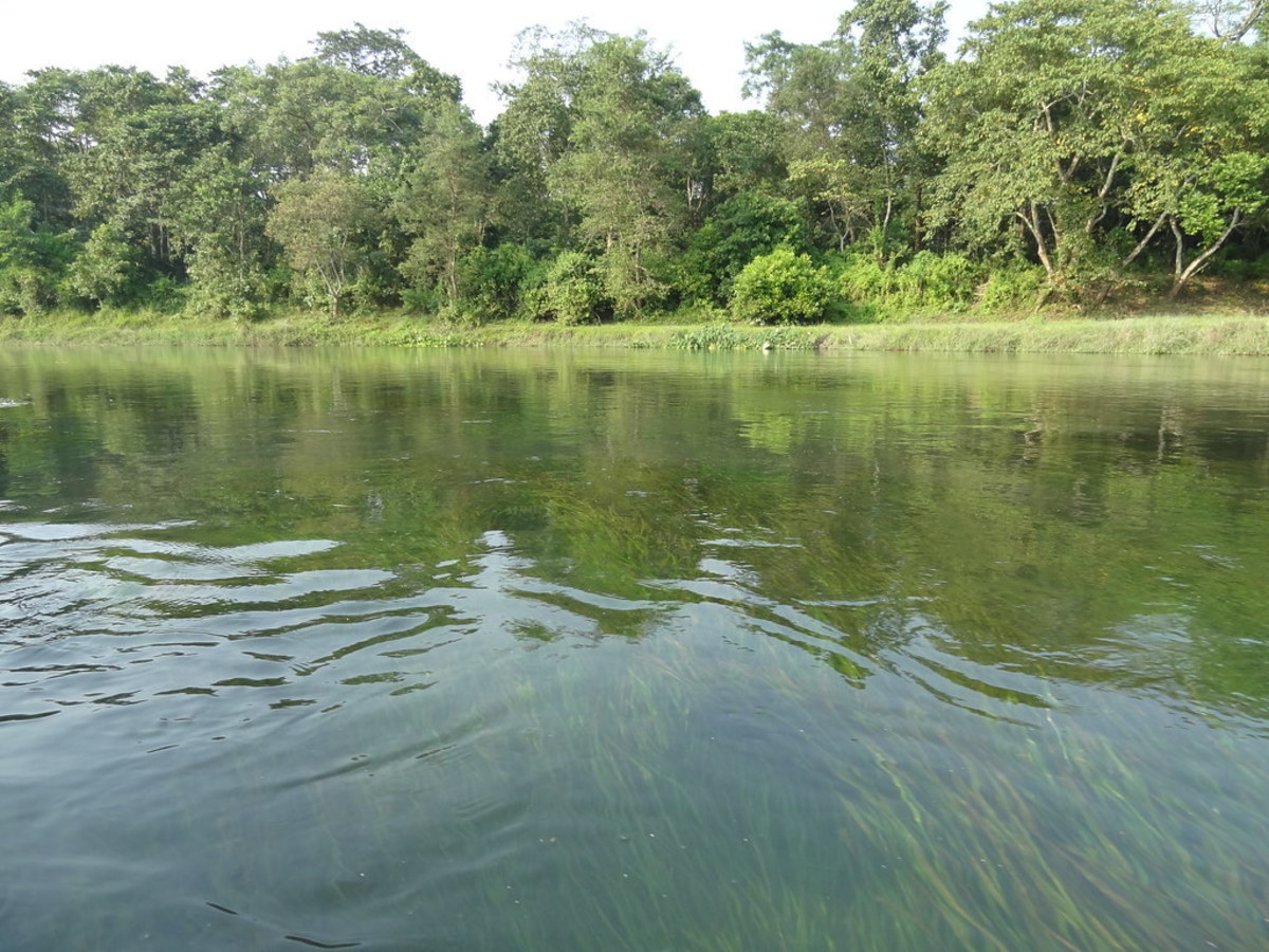Narayani River Chitwan