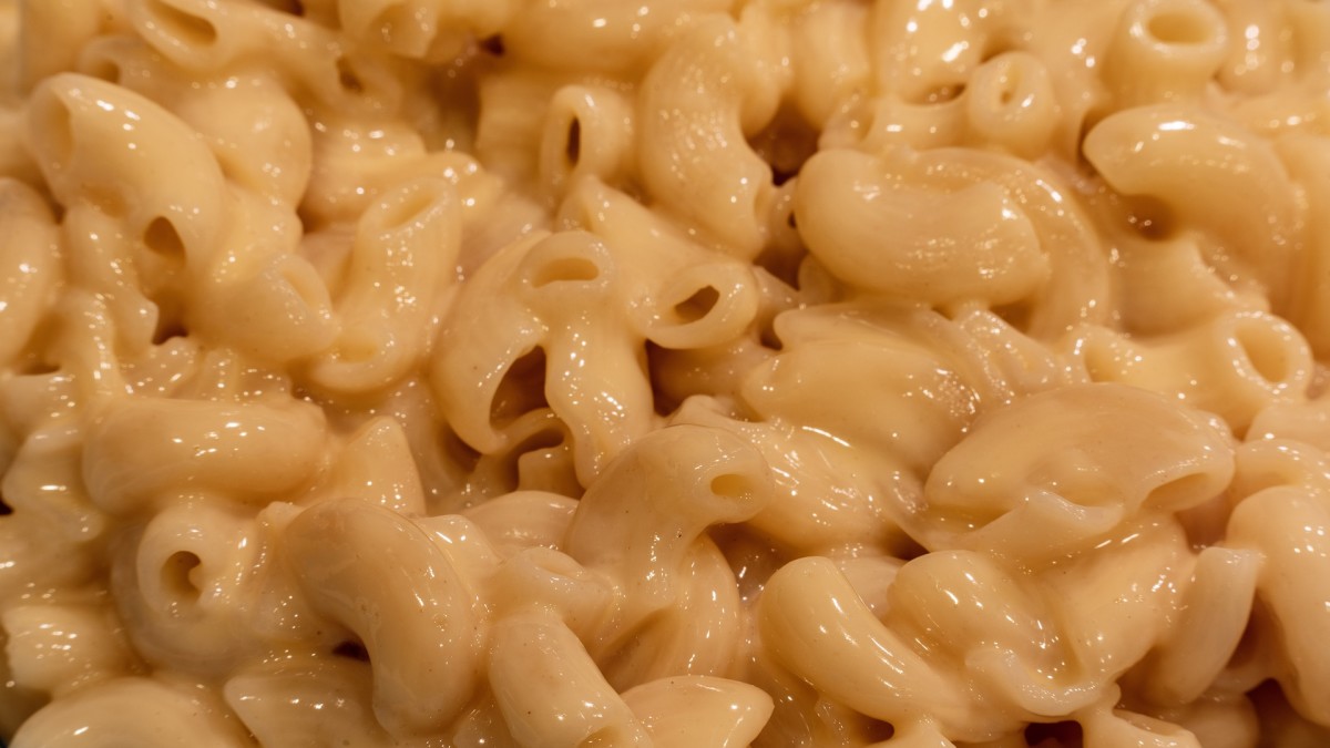 Yummy, cheesy macaroni!