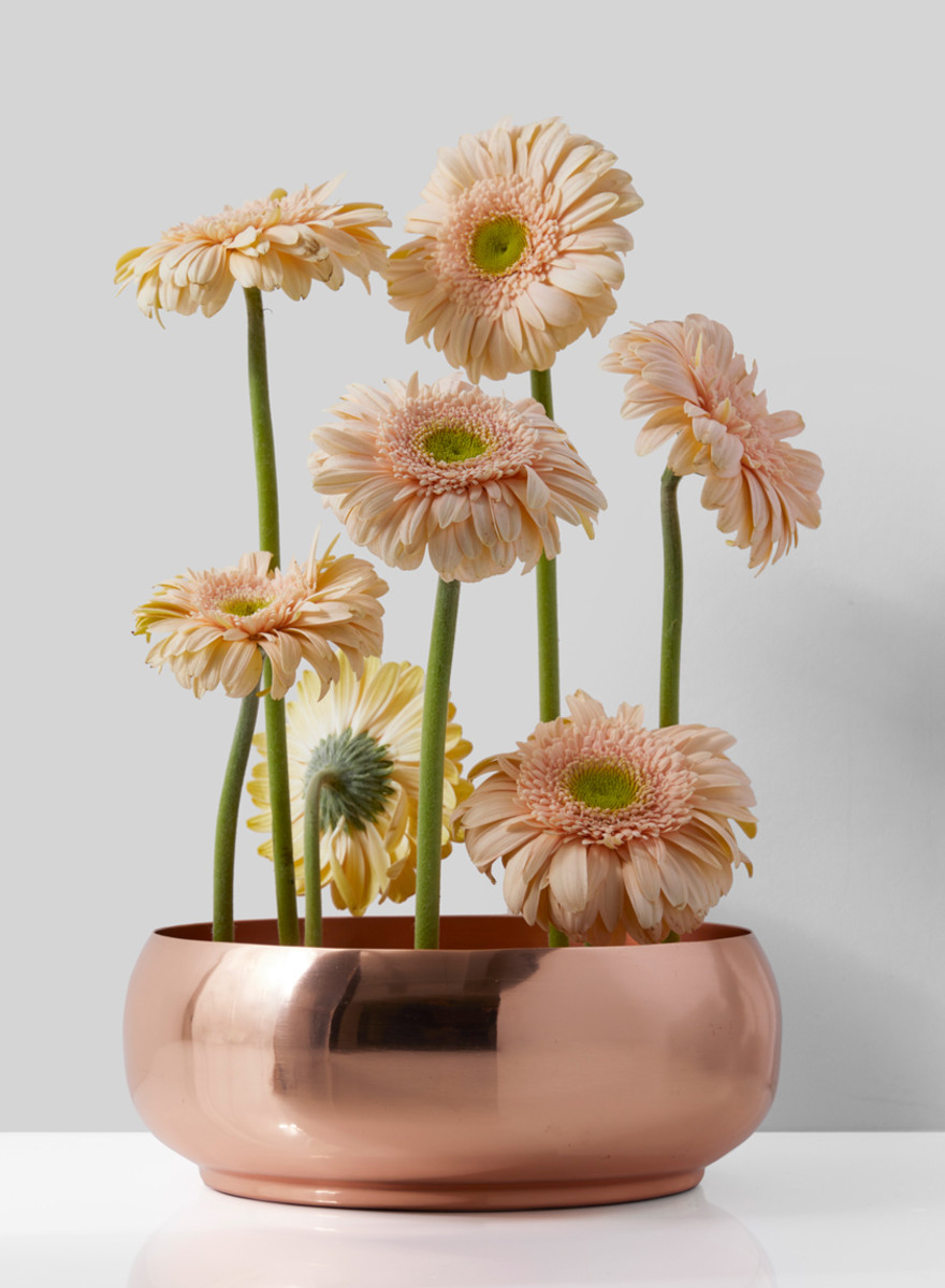 Copper shallow bowl with gerberas peach colors.