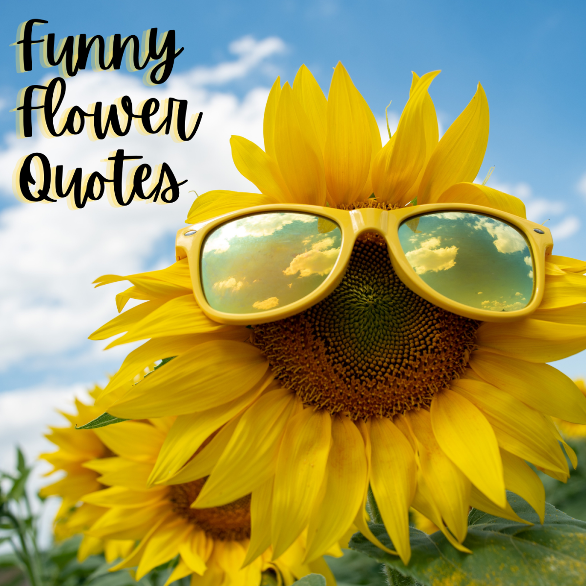 Funny Flower Quotes And Sayings Holidappy