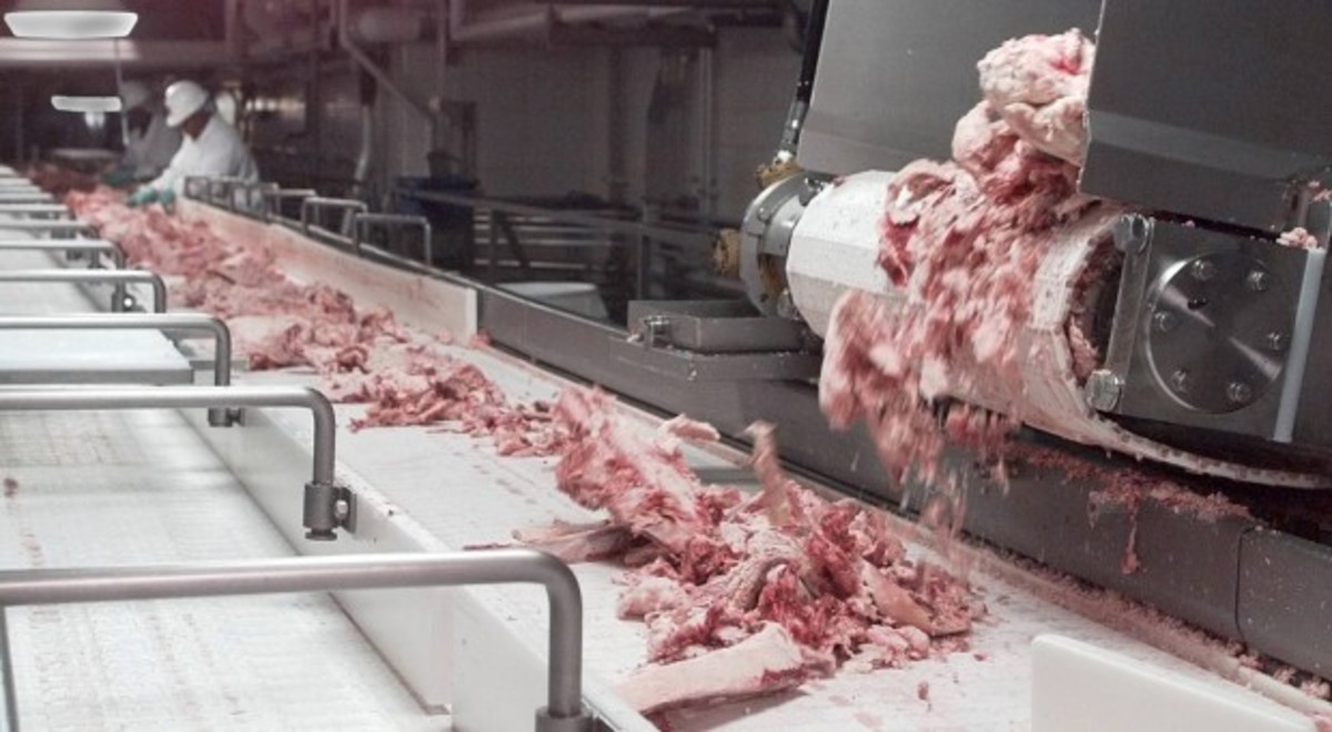 BFI's pink slime process - Does anyone really want to eat this stuff? 