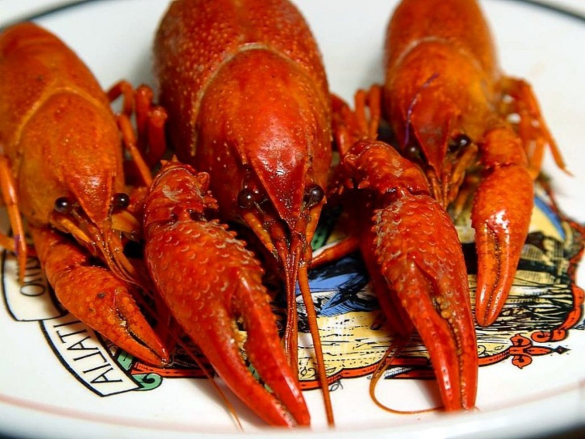 How to Cook Crawfish / crawdads