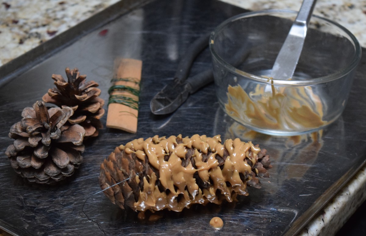 Finished peanut butter pinecone ready to hang. Behind it are two pinecones, paddle wire, wire cutter, bowl and table knife.