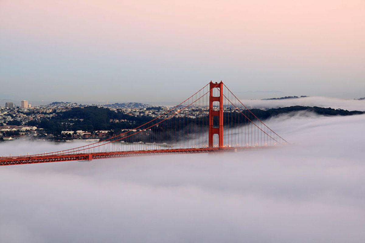 The luster of the Golden Gate has fogged over for many folks who decided to flee, like me.