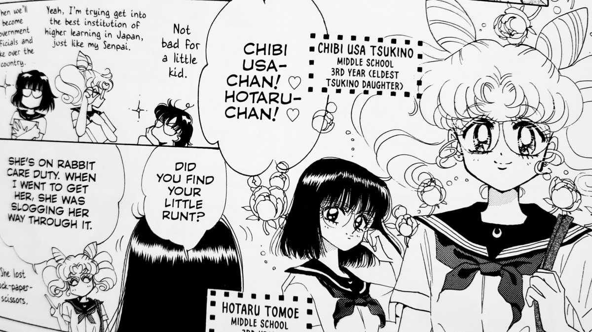 Not to be confused with her 902-year-old 30th-century counterpart typically seen in the anime, this is Chibiusa Tsukino from the manga "Parallel Sailor Moon" at age 15.