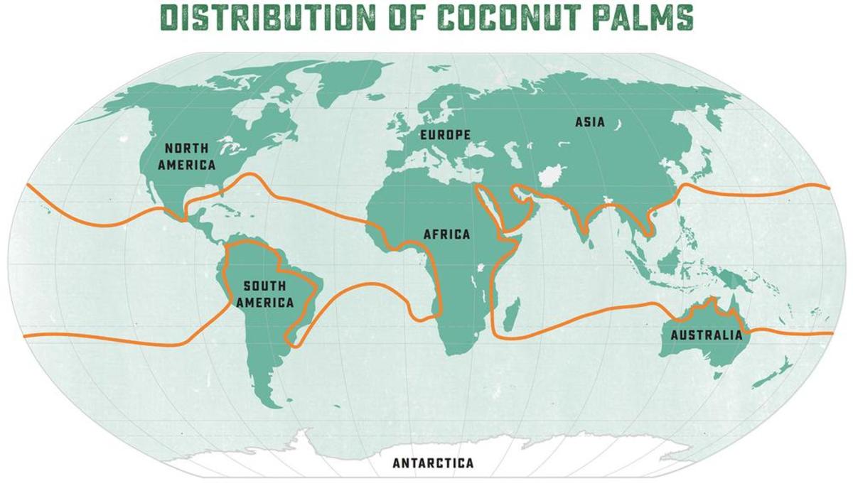 Exploring Coconut Facts, Fables, and 8 Fun Recipes Delishably