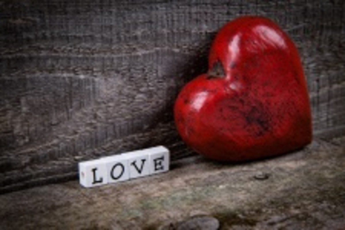 Valentine Rose Messages - HubPages