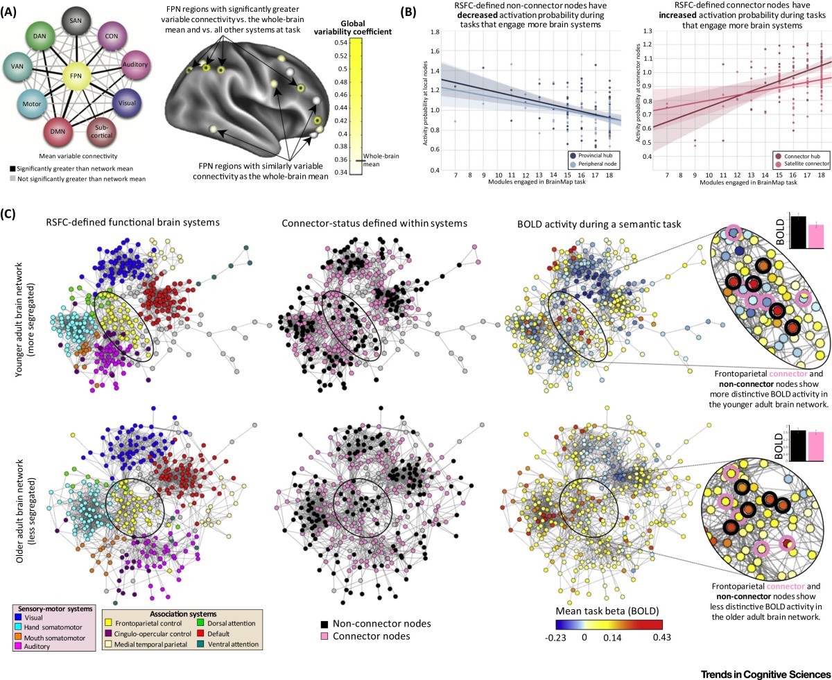 Some of the complexity in mapping out the networks across the brain.