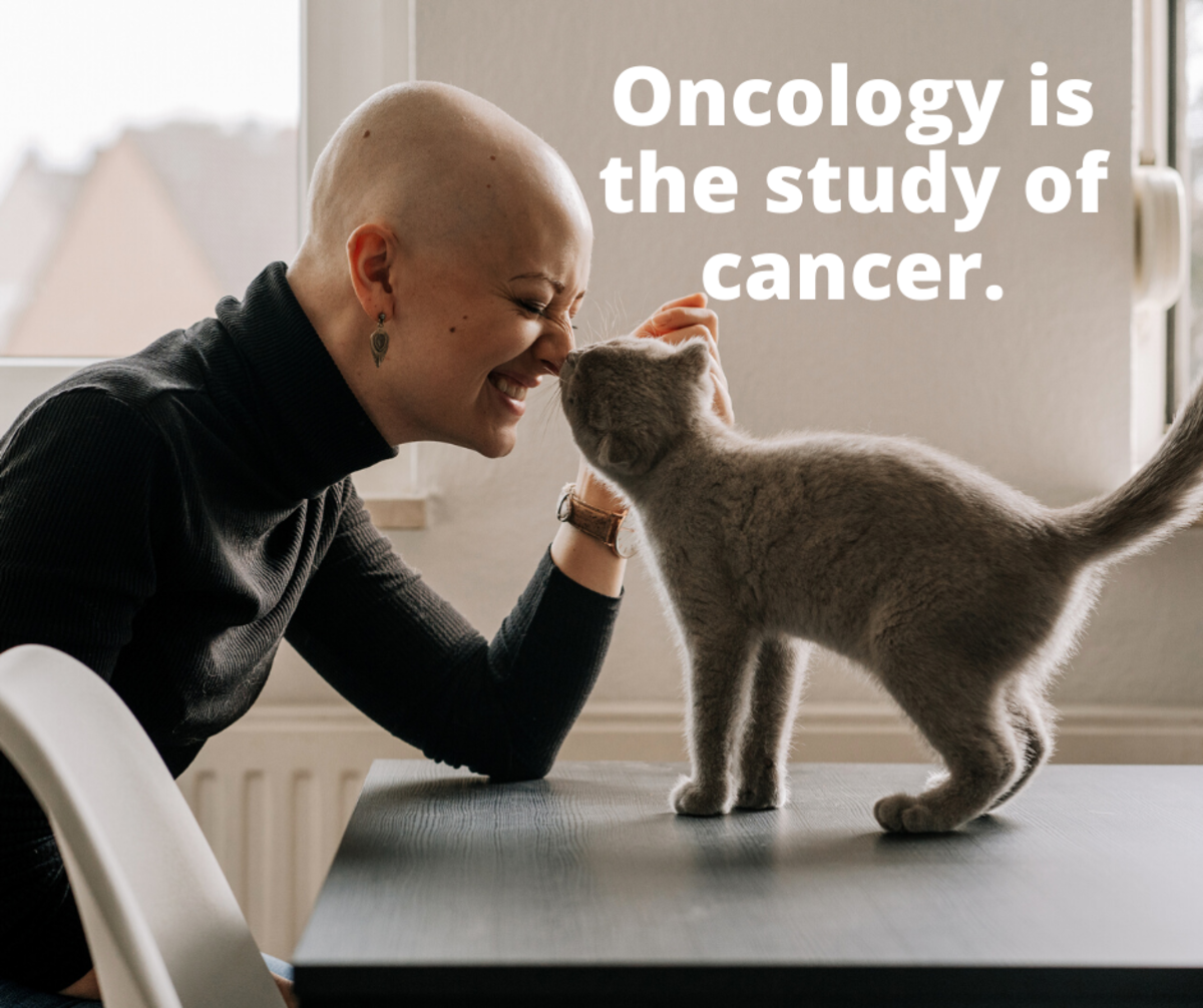 Oncology is the study of cancer.