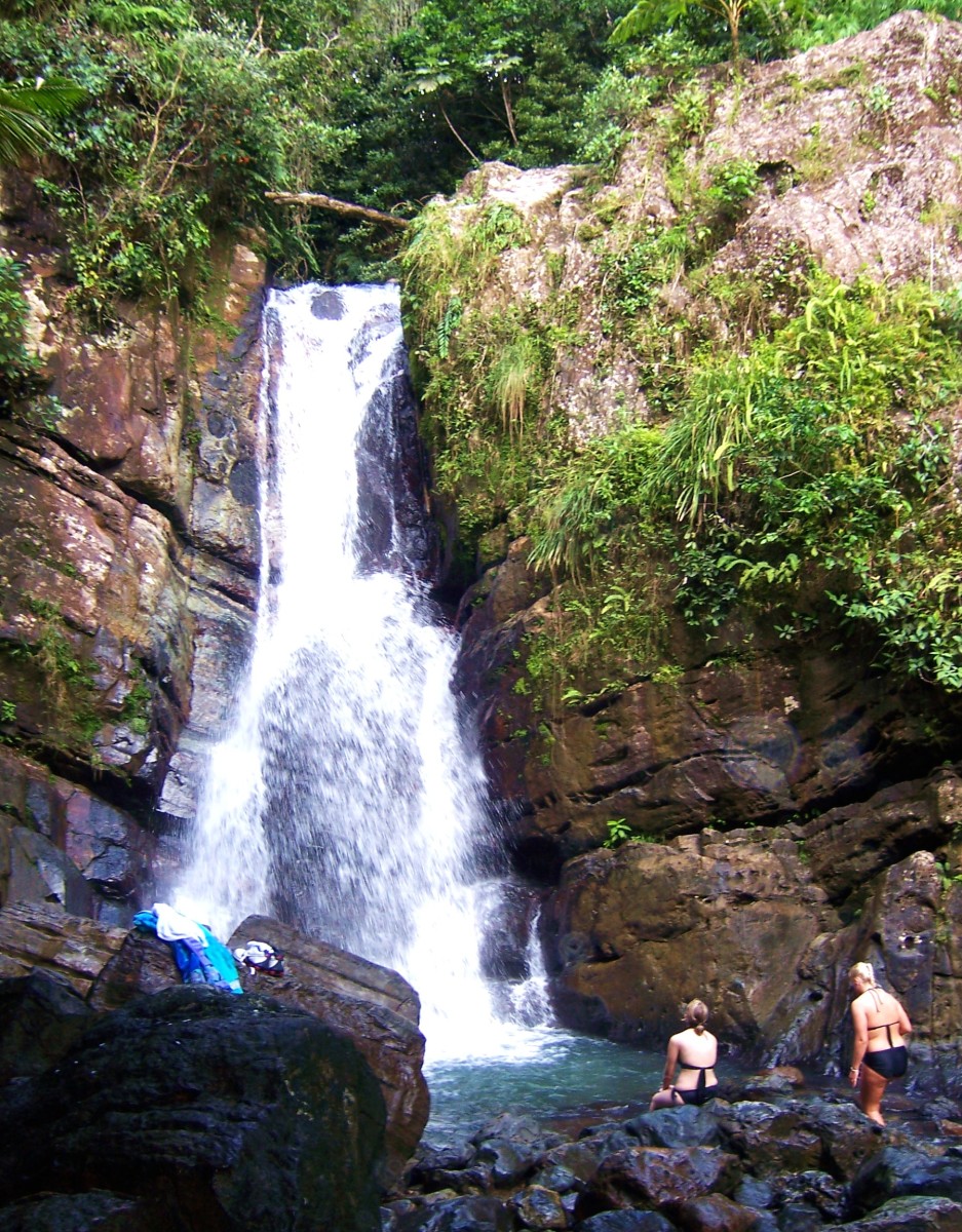 El Yunque Rainforest Waterfall