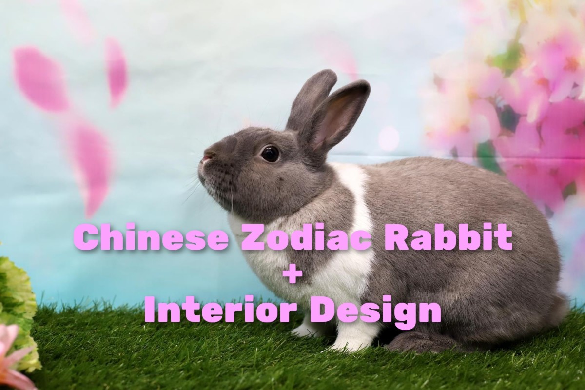 how-to-decorate-every-room-in-your-home-like-the-chinese-zodiac-the-rabbit