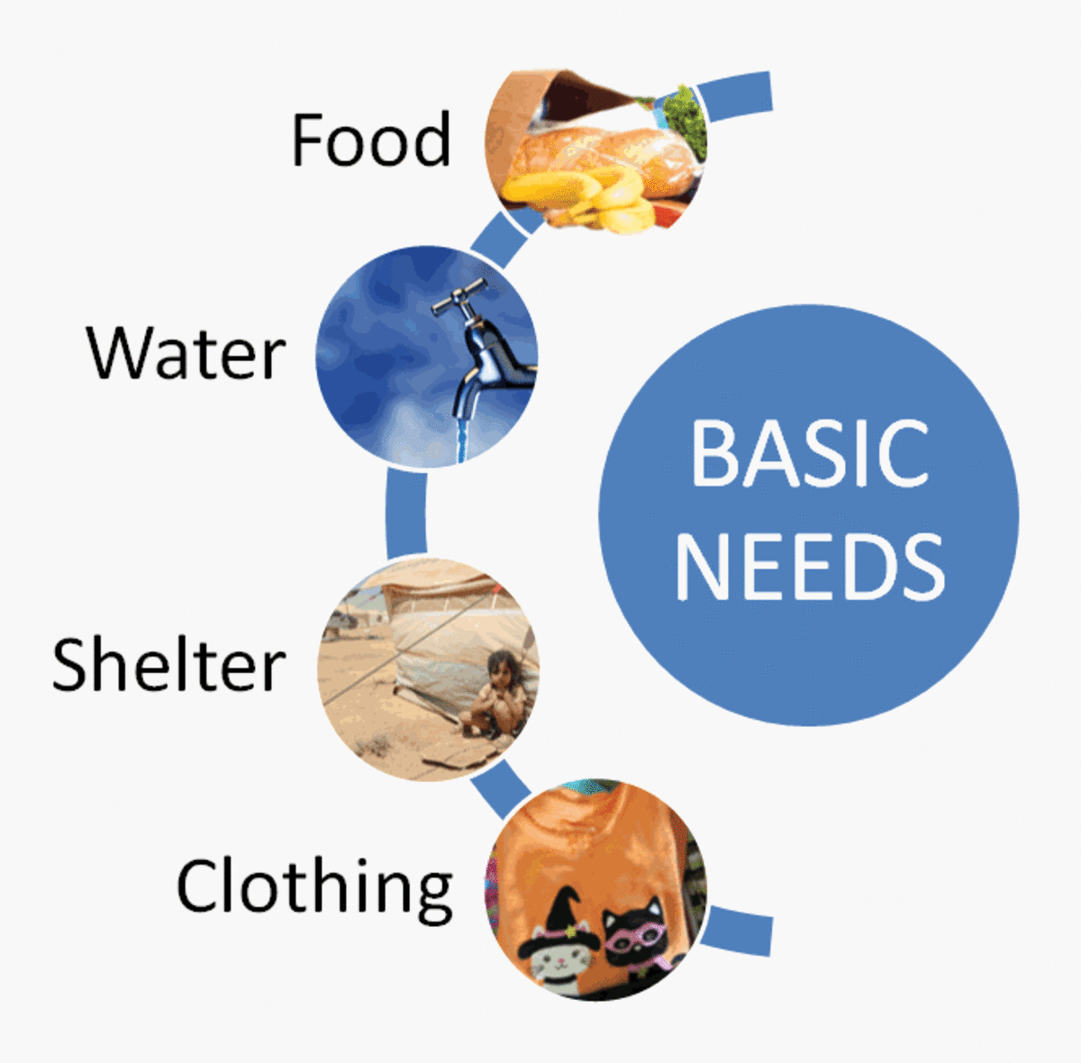 We derive our basic needs (food, shelter, and clothing,  from the biological richness all around us.