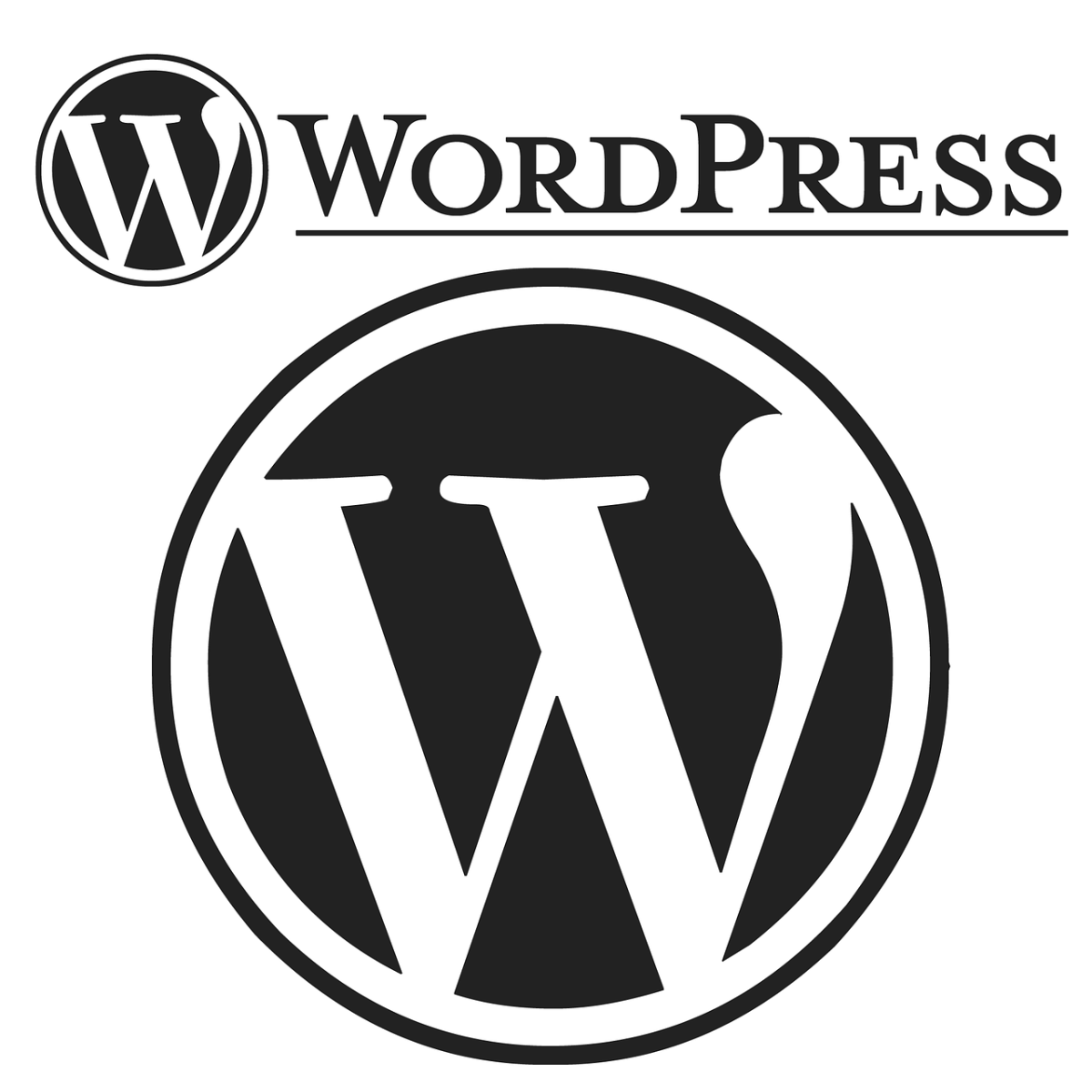 6 Important Reasons to Use WordPress for Your Blogging Platform