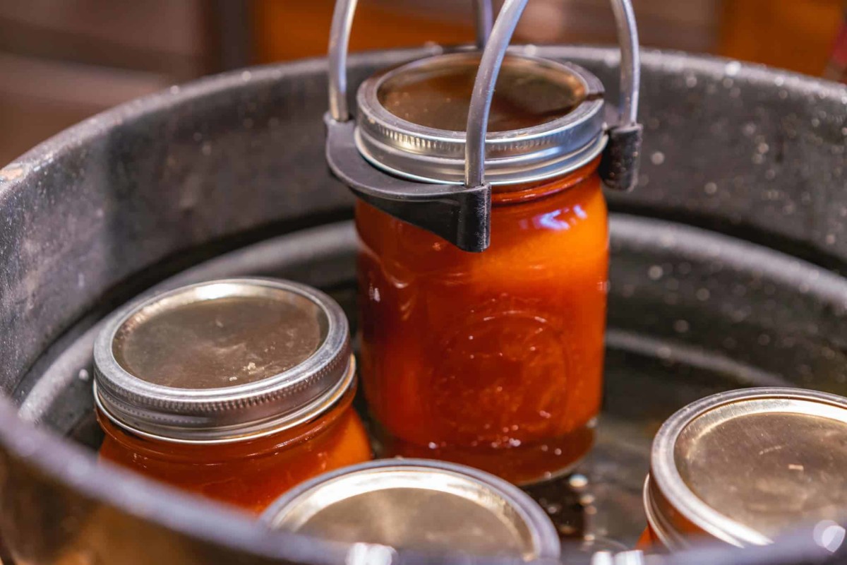 how-to-can-and-preserve-any-type-of-food