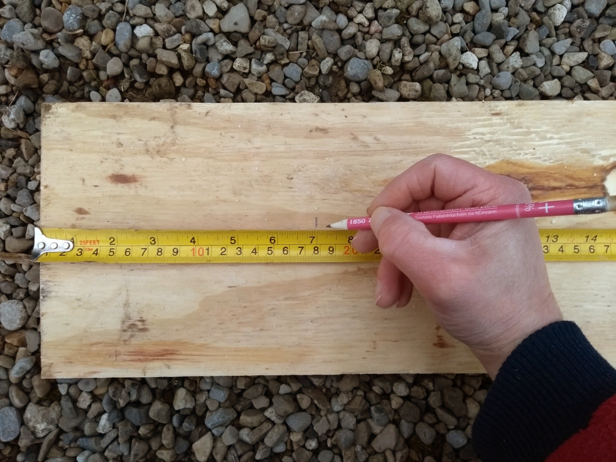 Robin Bird Box Hole Size