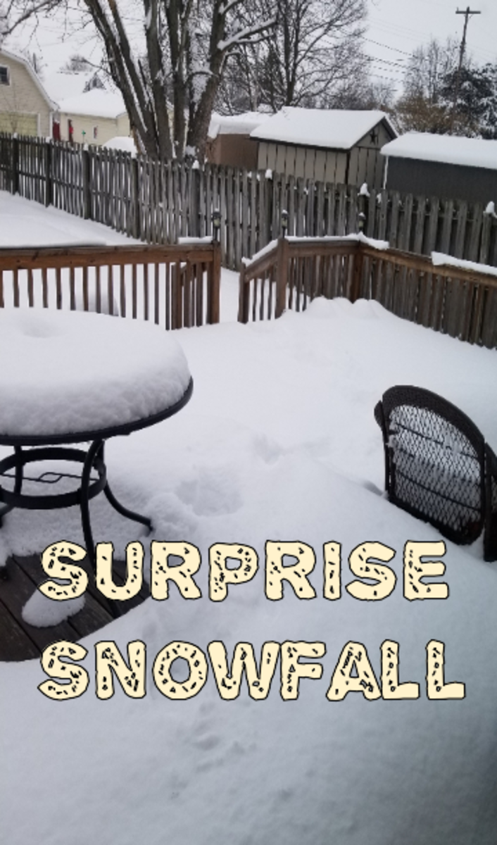 poem-surprise-snowfall
