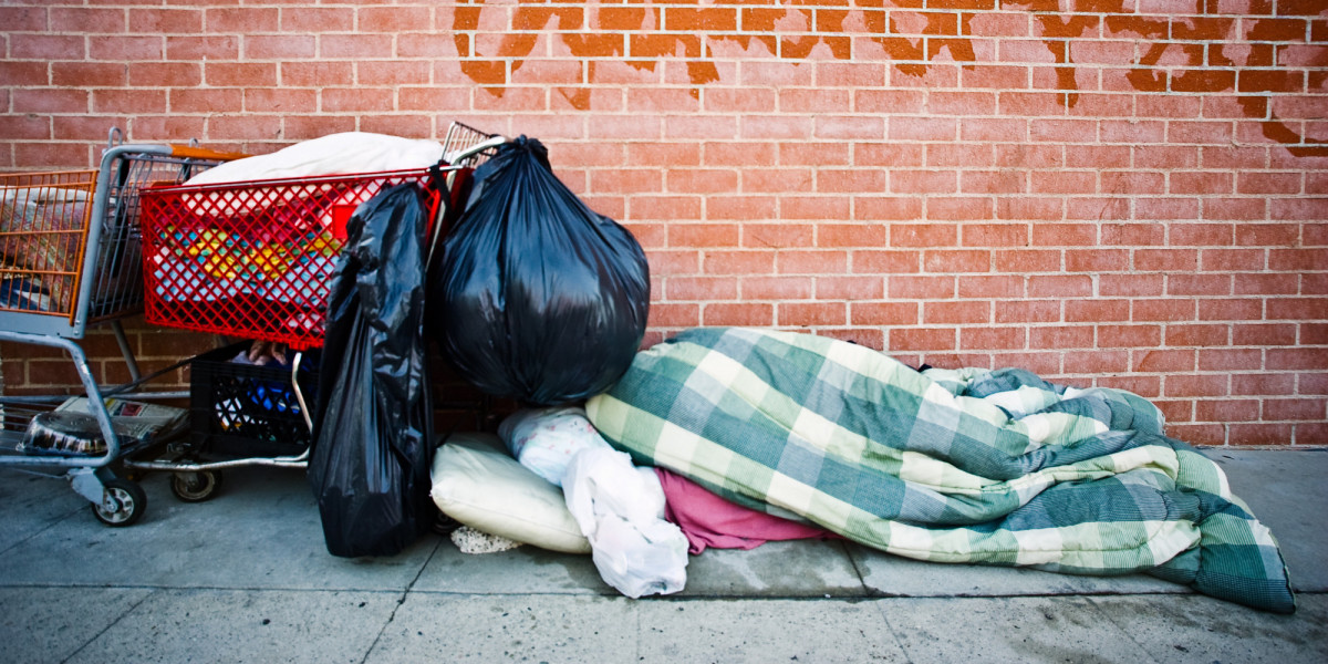 Homeless in America: Why?