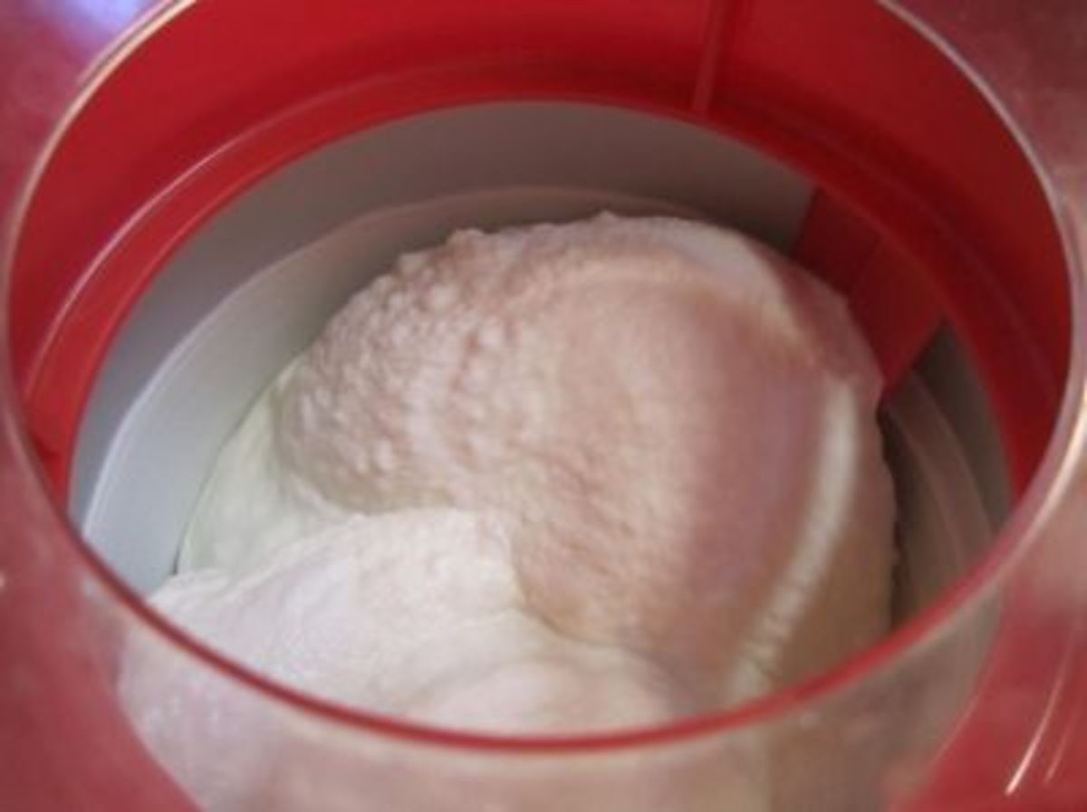 Making homemade vanilla ice cream in the Cuisinart ICE-21