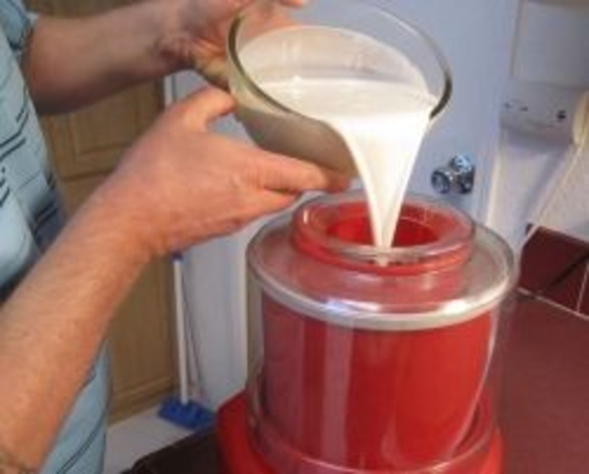 Pouring the mix into the ice cream maker
