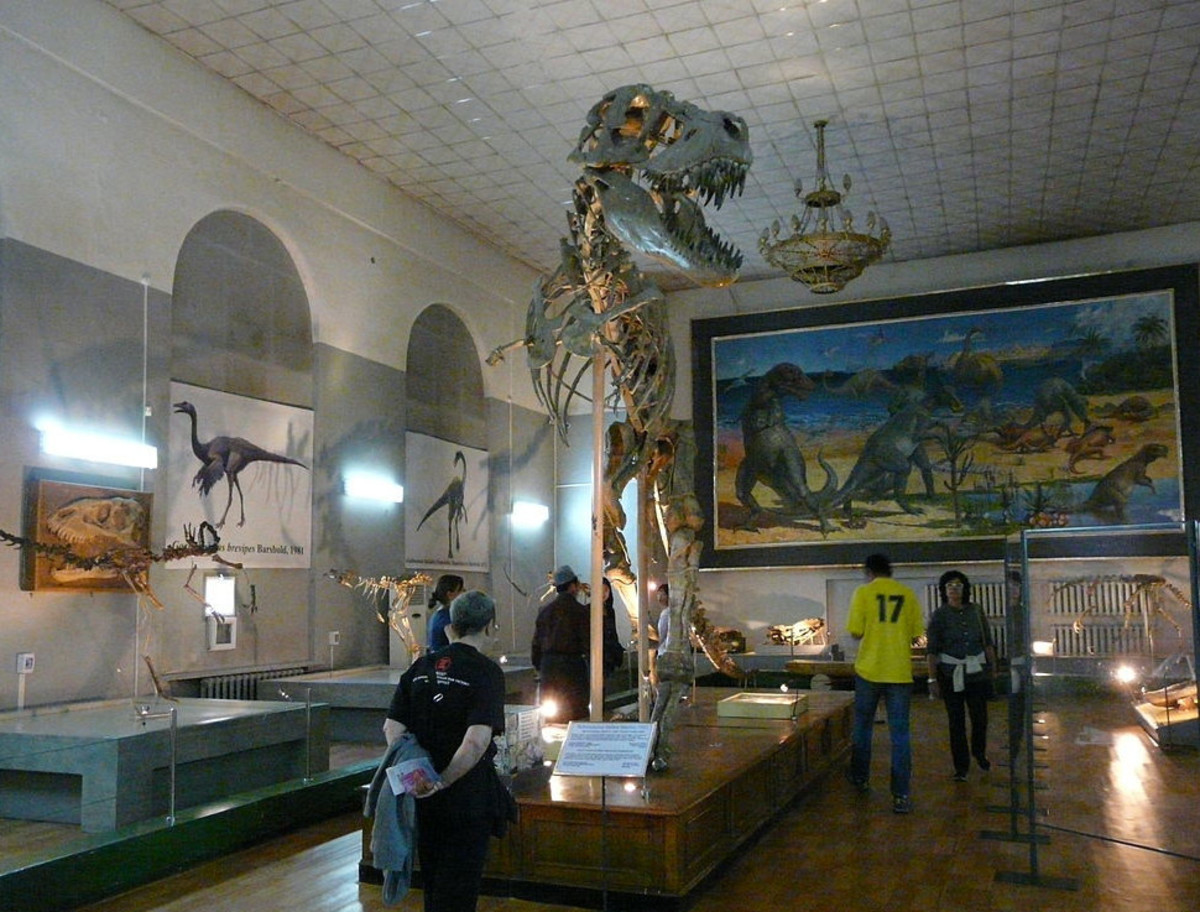 コレクション DINOSAURS found in mongorian gobi Mongolian Dinosaurs