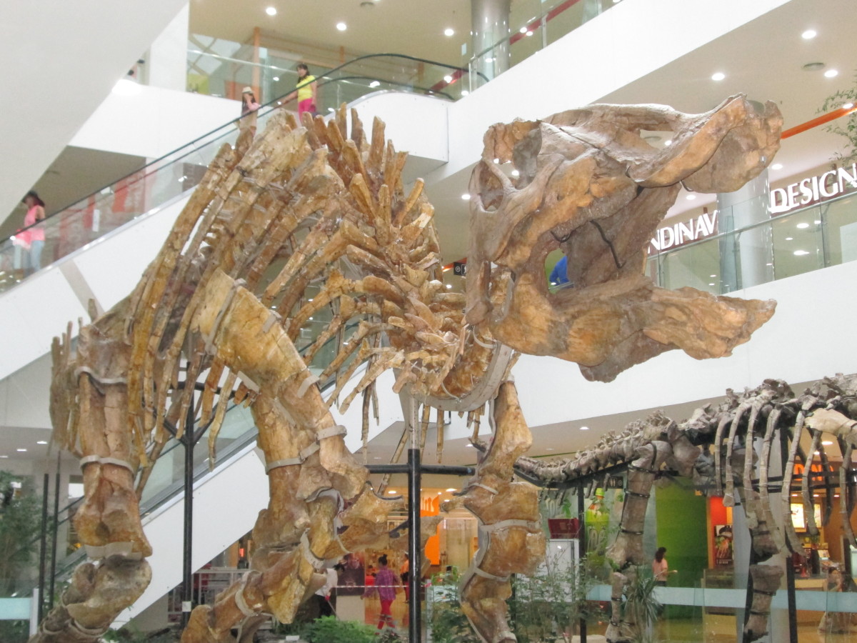 Mongolia's Gobi Desert: Land of the Flaming Cliffs, Dinosaurs and