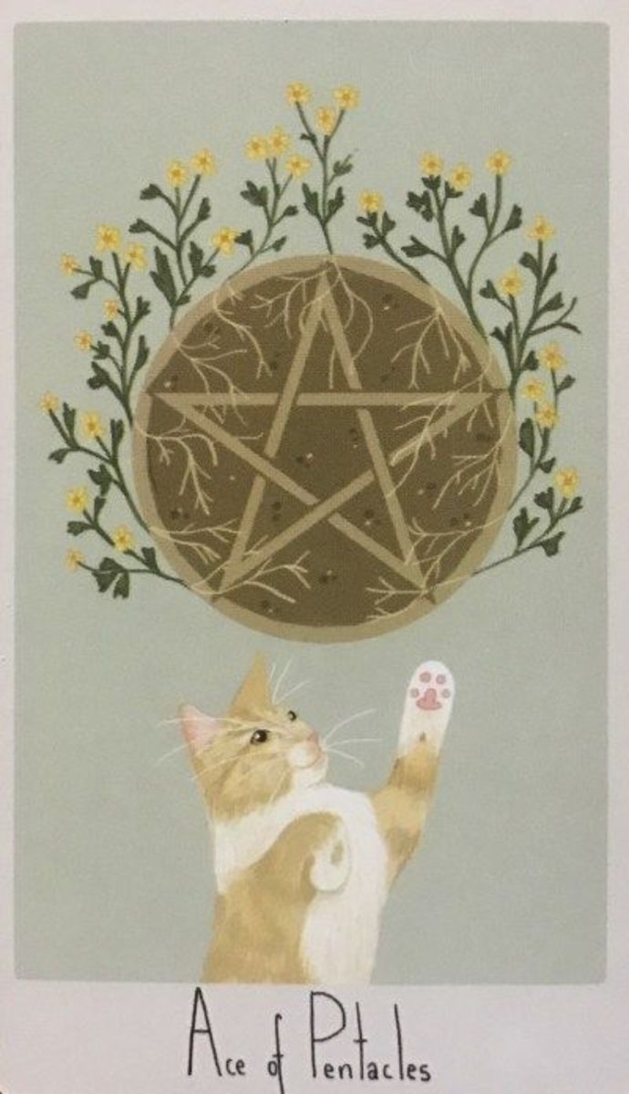 Ace of Pentacles, Read Your Own Tarot