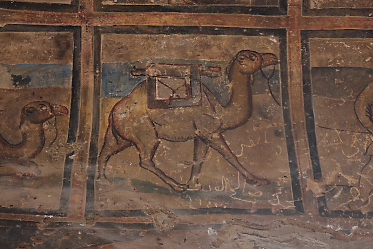 One of the wall paintings at Qasr Amri (see main picture below). A 1300 year old camel !
