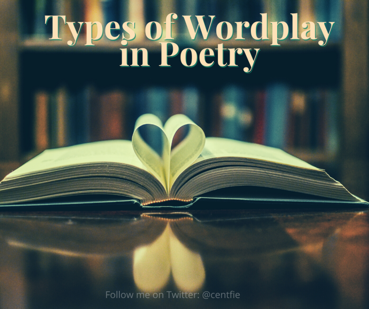 15 Types of Wordplay in Poetry  HubPages