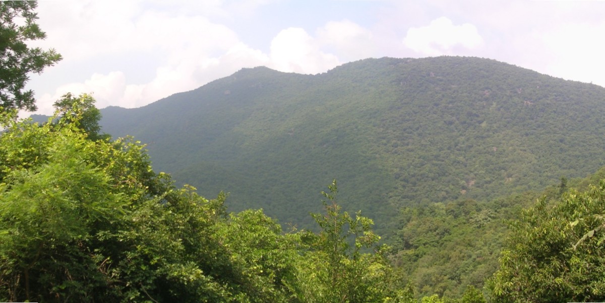 Javadi Hills
