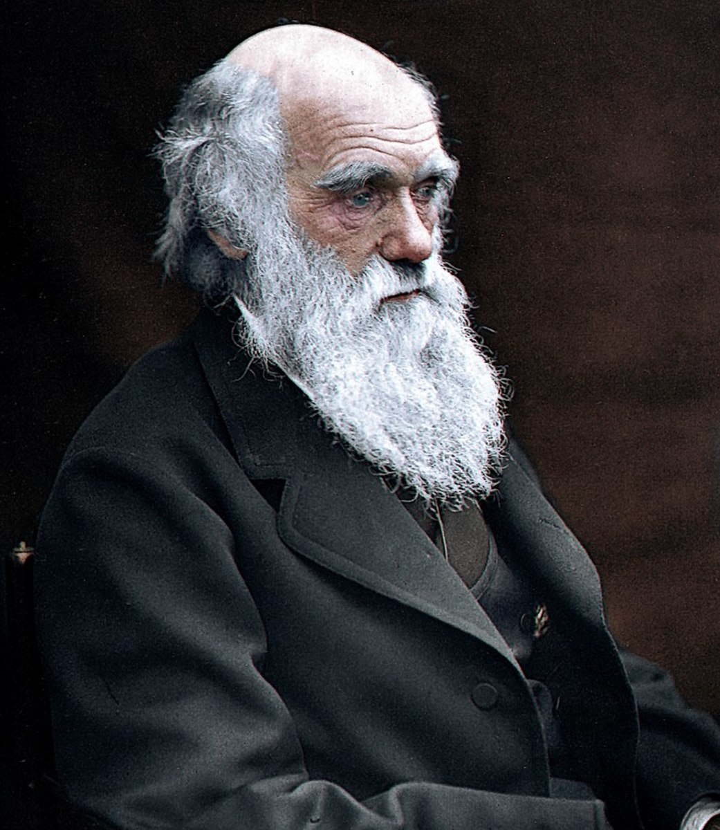 Charles Darwin exemplified the unshaven, shaggy look of the Victorian age.