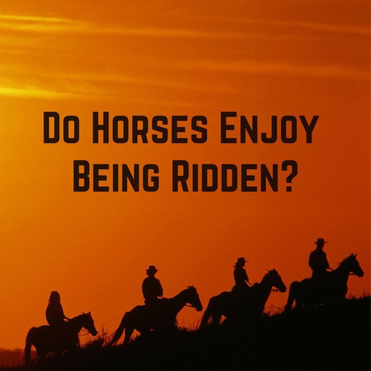 Do horses love or hate being ridden?