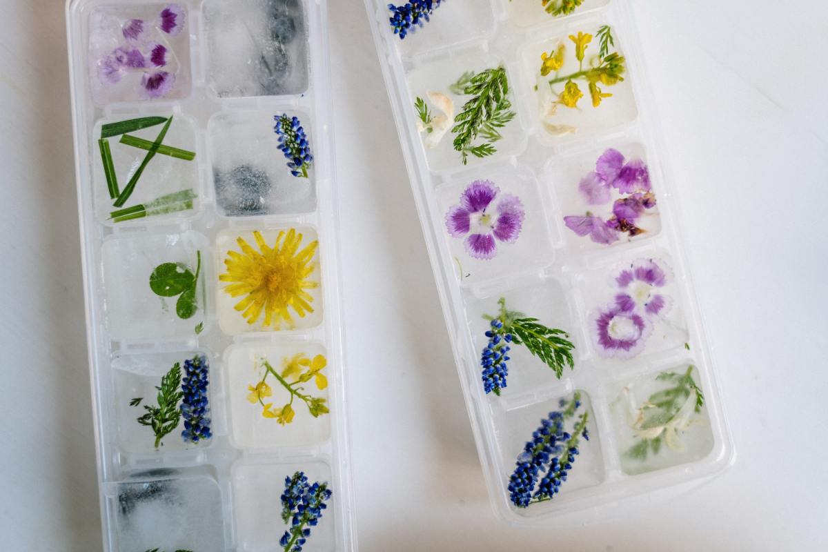 Jazz up ice cubes for a party with edible flowers, herbs, citrus fruit and other embellishments. With little effort, your drinks will look special. A note of thanks to   cottonbro from Pexels for your lovely photo.