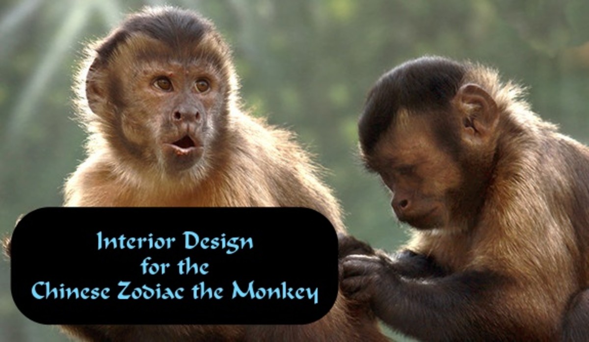 A Monkey With Down Syndrome