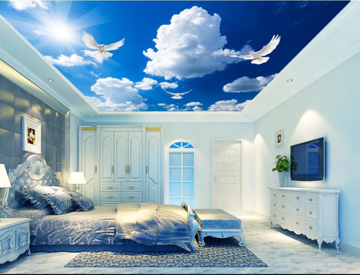 The Chinese Zodiac Monkey is the most likely sign to have a bedroom dedicated to a blue sky with clouds. The Monkey wants their bedroom to be fun, engaging, and still peaceful so they can sleep.
