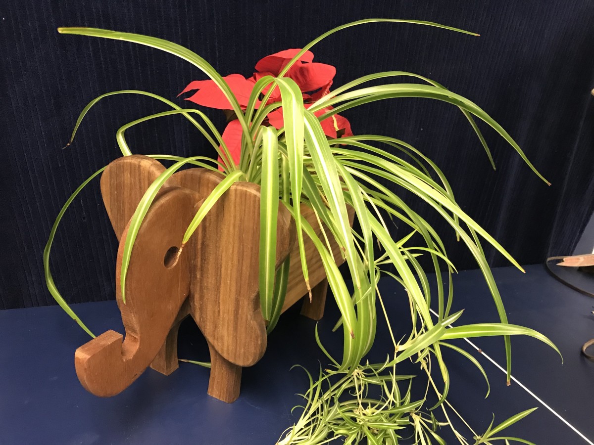 How to Make an Elephant Planter: Simple DIY Planter Plans