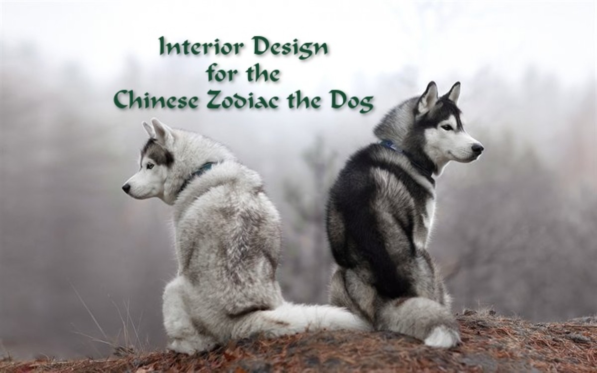 how-to-decorate-every-room-in-your-home-like-the-chinese-zodiac-the-dog