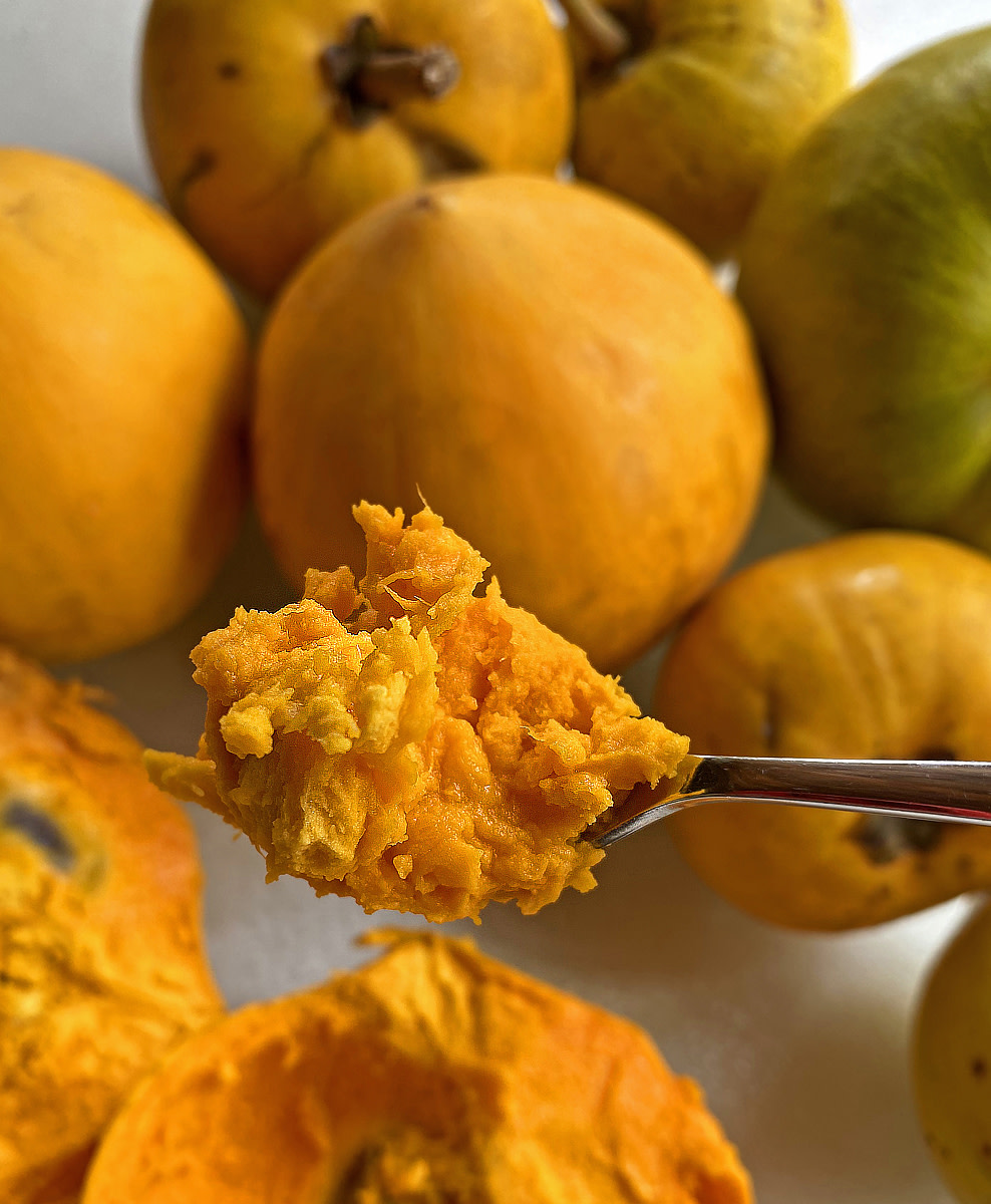 A spoonful of eggfruit pulp.