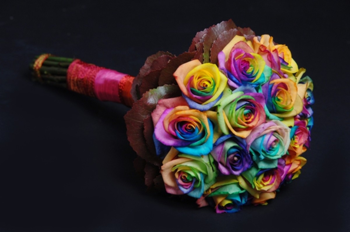 Rainbow roses as happy wedding flower