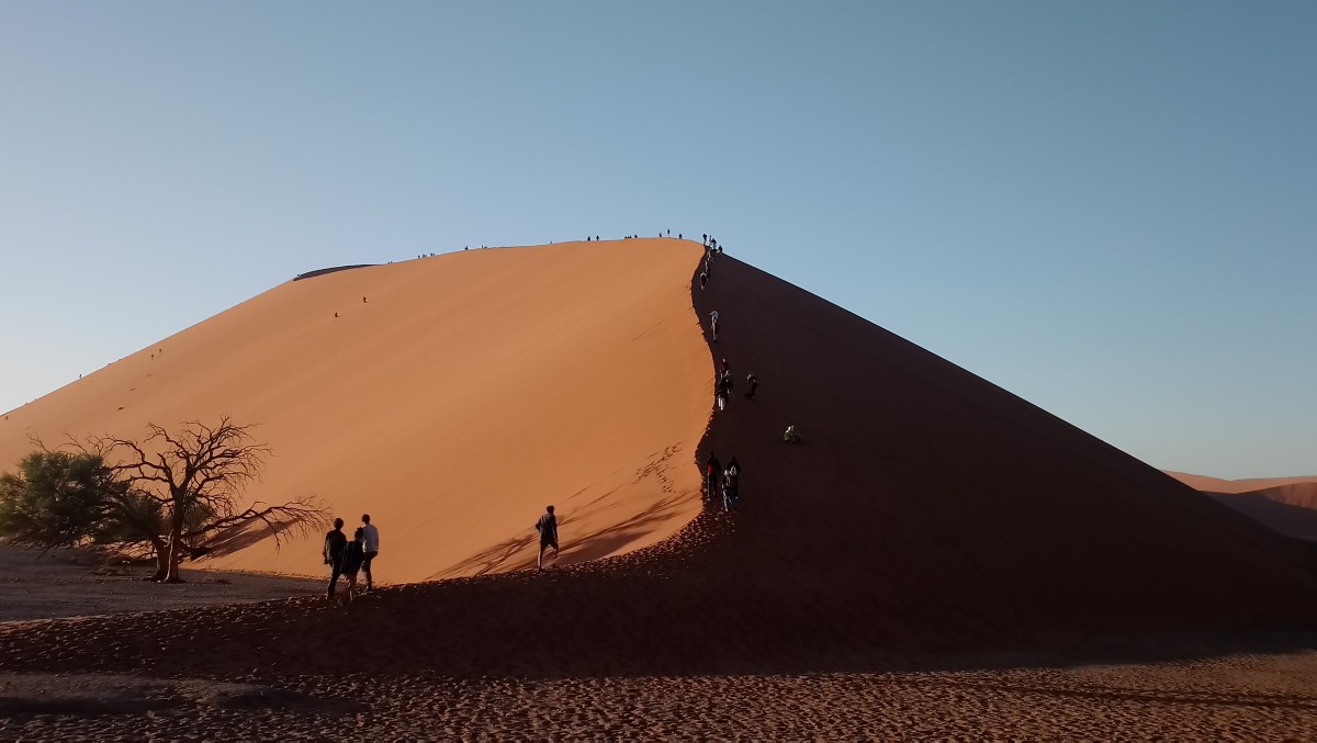 an-express-safari-in-the-namib-desert