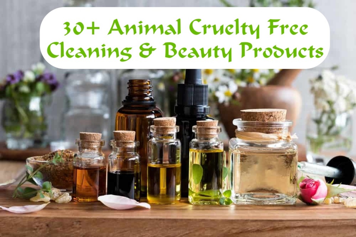 30+ Animal Cruelty-Free Products That Can Make a Difference in Your