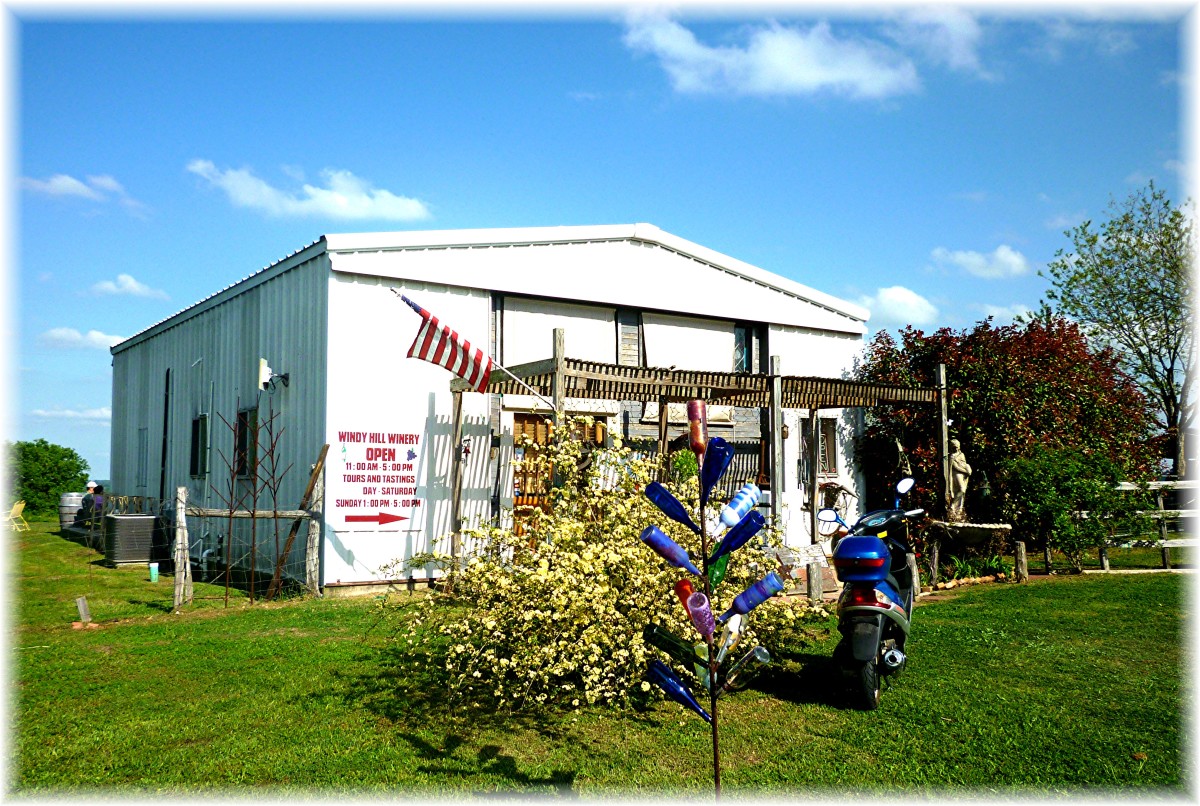 Windy Winery in Brenham, Texas, on the Texas Bluebonnet Wine Trail