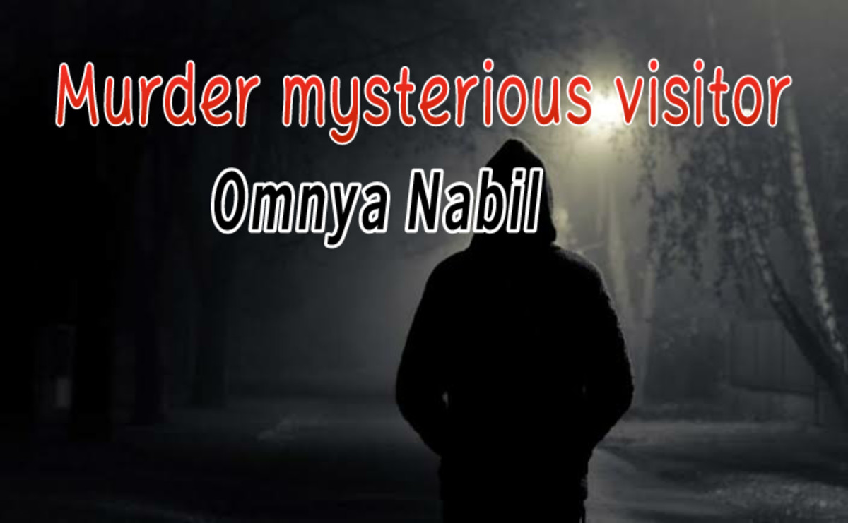 Murder The Mysterious Visitor3